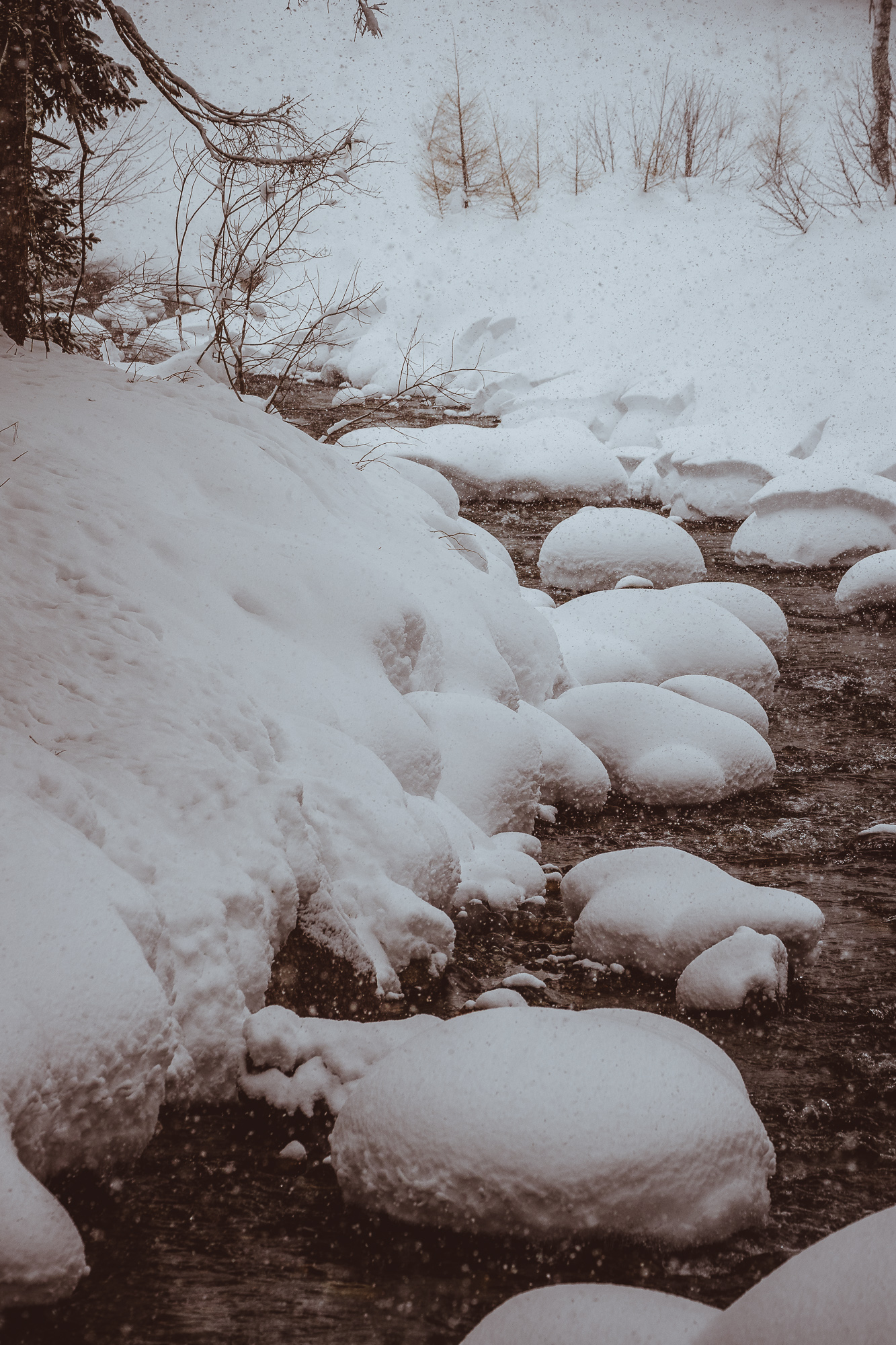 Export x3 1DX29403 Verlobungsfotoshooting 2018 Anna & Dominik